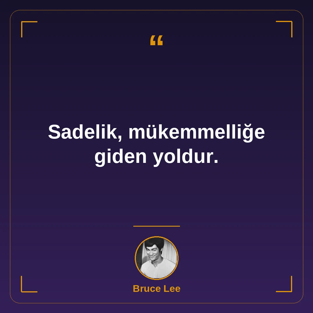 Sadelik, mükemmelliğe giden yoldur.