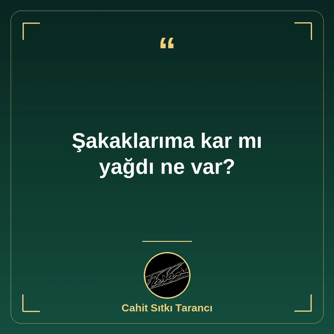 Şakaklarıma kar mı yağdı ne var?