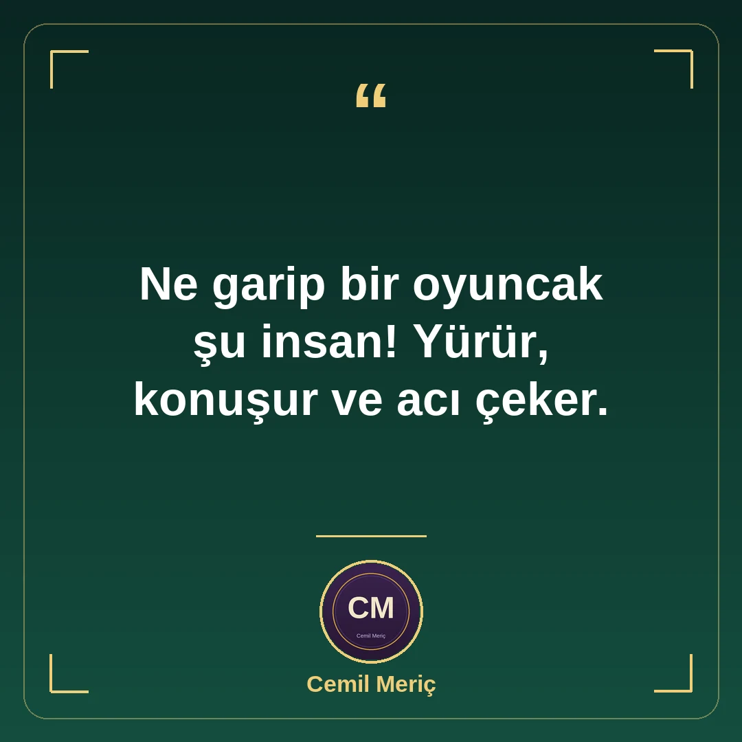 Ne garip bir oyuncak şu insan! Yürür, konuşur ve acı çeker.