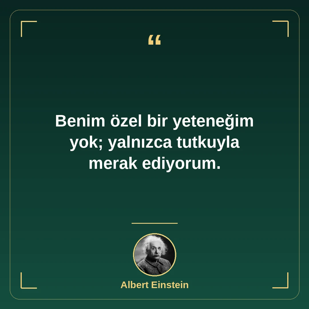 Benim özel bir yeteneğim yok; yalnızca tutkuyla merak ediyorum.