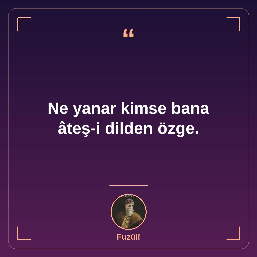 Ne yanar kimse bana âteş-i dilden özge.