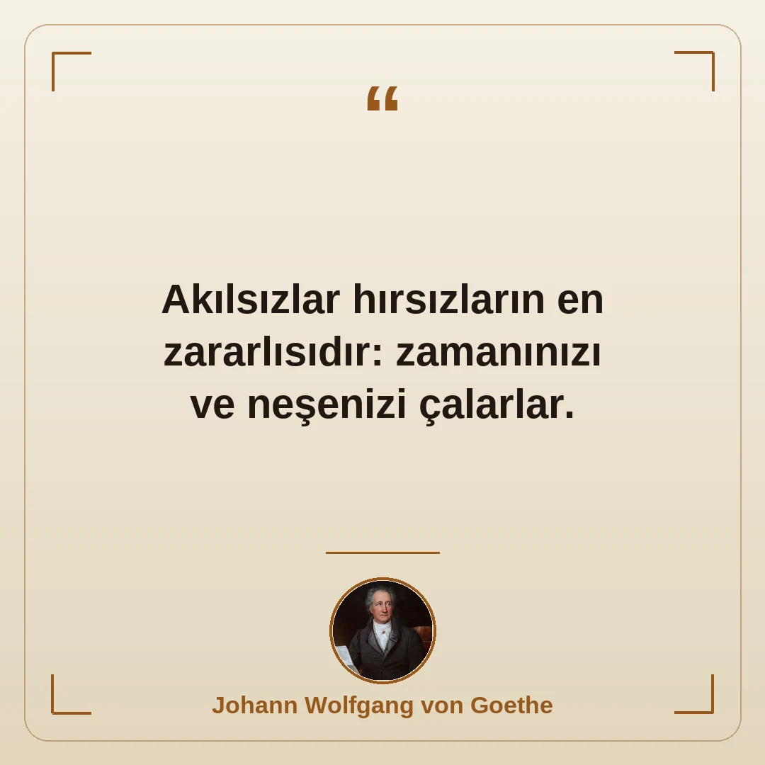 Akılsızlar hırsızların en zararlısıdır: zamanınızı ve neşenizi çalarlar.