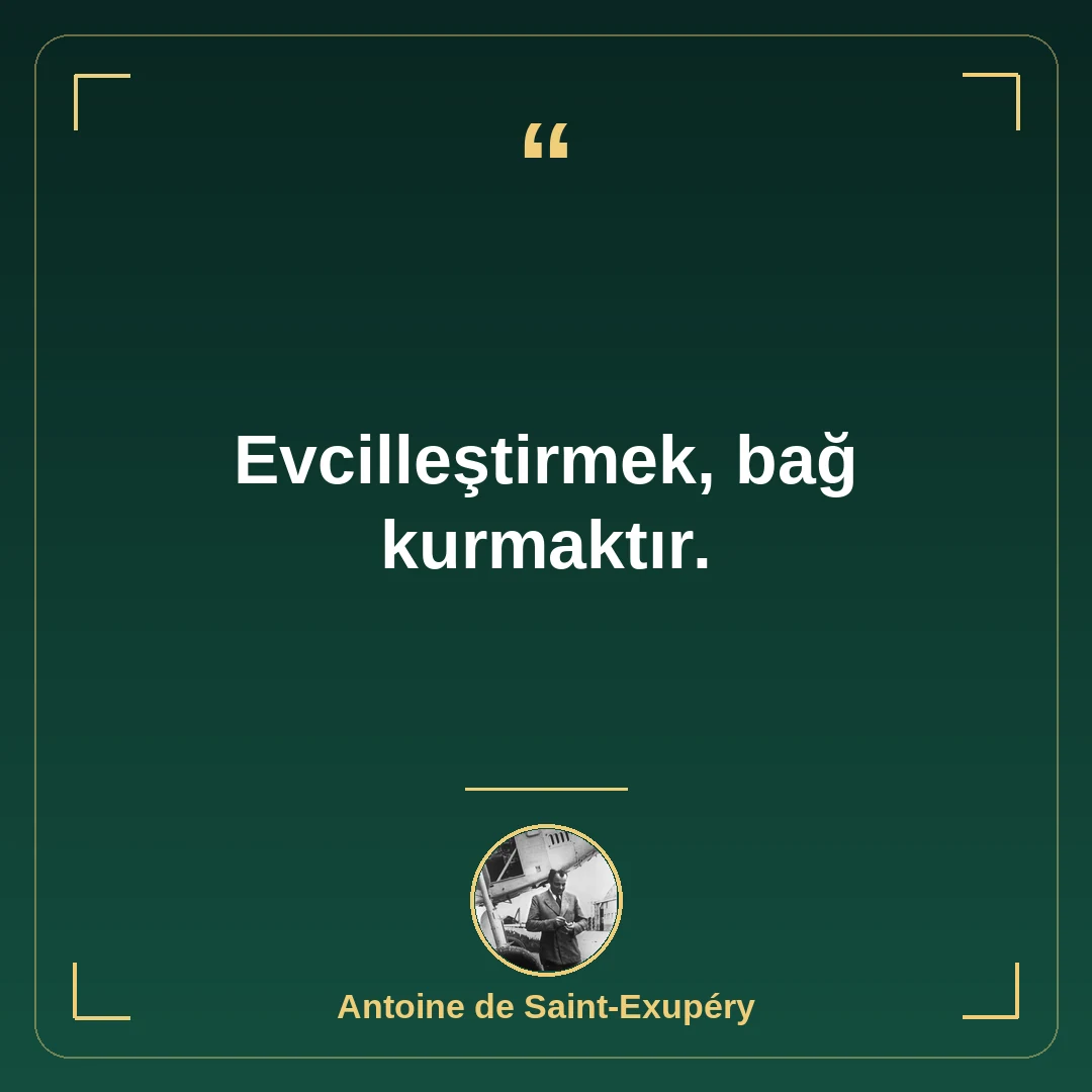 Evcilleştirmek, bağ kurmaktır.