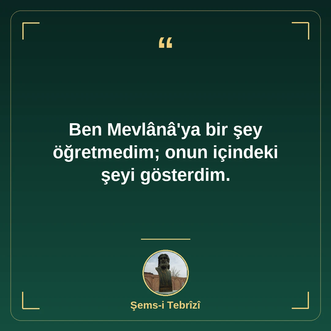 Ben Mevlânâ'ya bir şey öğretmedim; onun içindeki şeyi gösterdim.