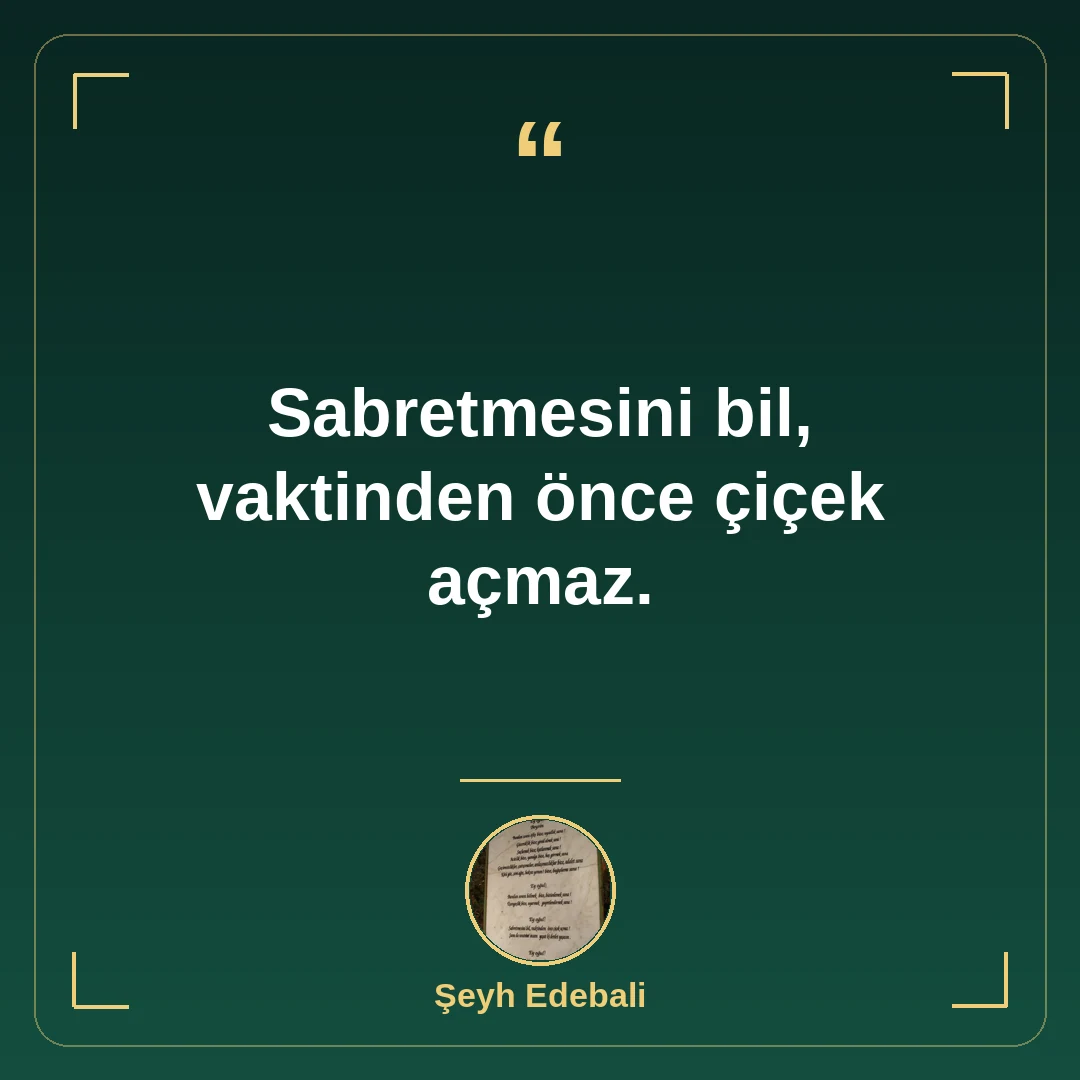 Sabretmesini bil, vaktinden önce çiçek açmaz.