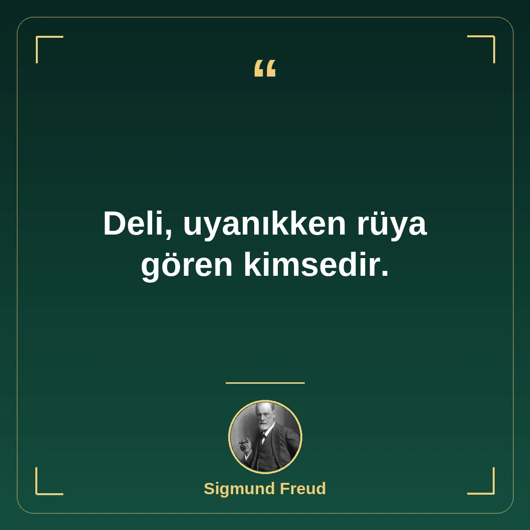 Deli, uyanıkken rüya gören kimsedir.