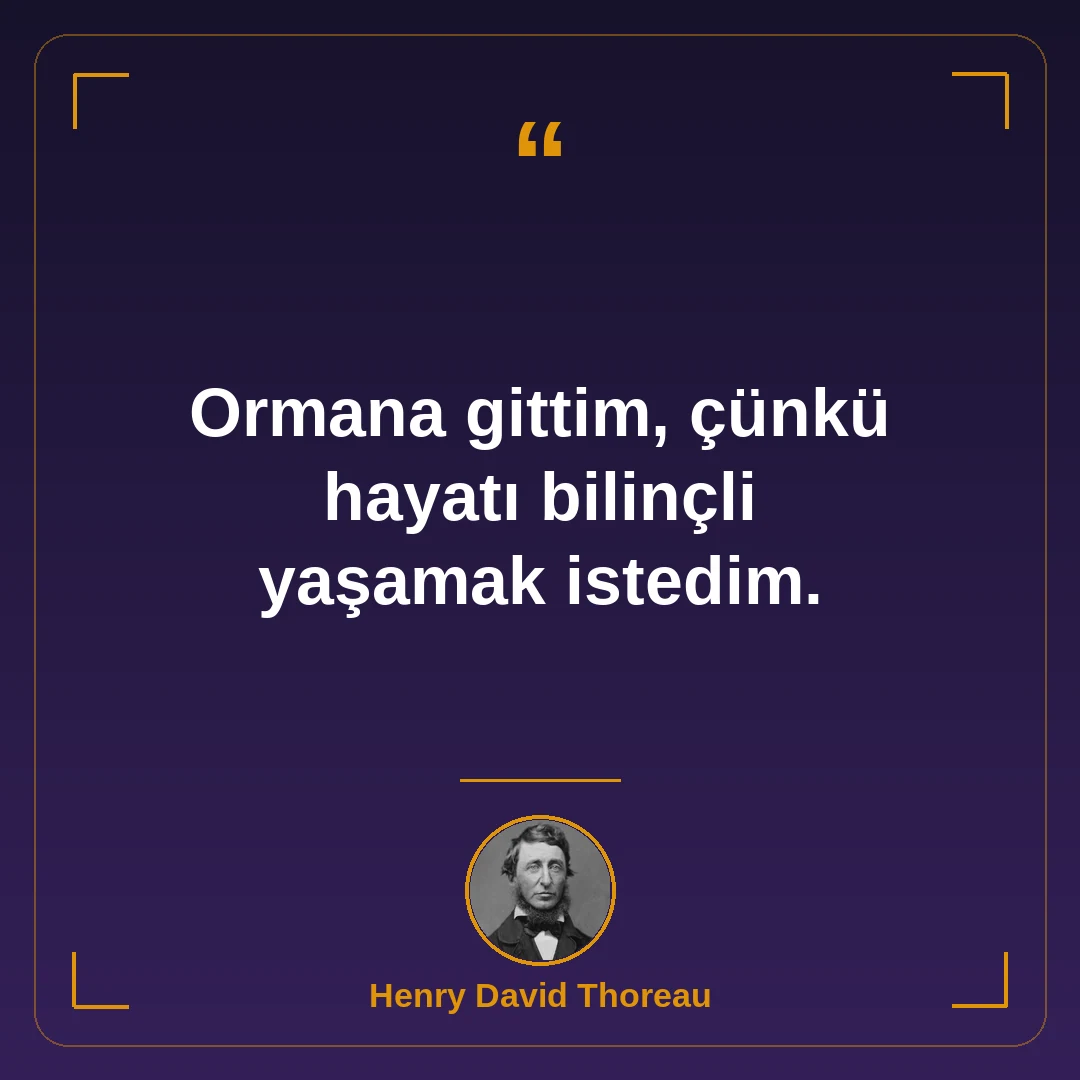 Ormana gittim, çünkü hayatı bilinçli yaşamak istedim.