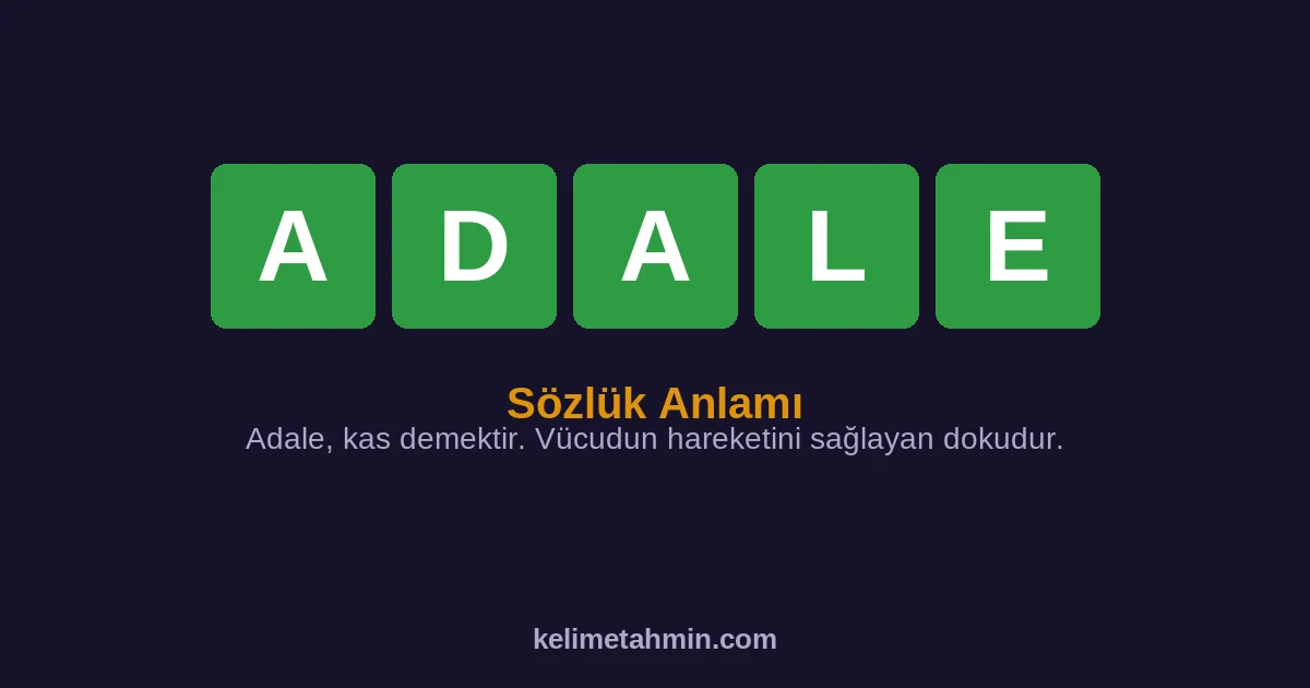 ADALE ADALE — anlamı ve örnek cümleler