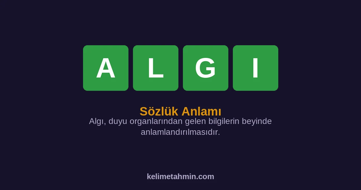 ALGI ALGI — anlamı ve örnek cümleler