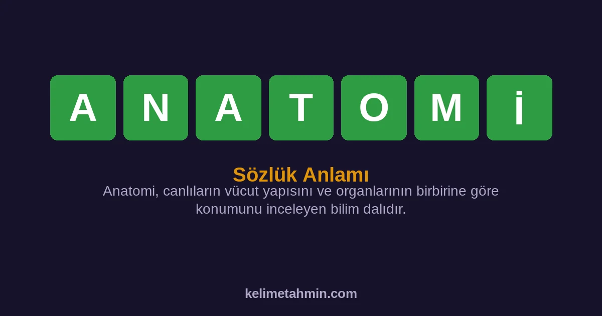ANATOMİ ANATOMİ — anlamı ve örnek cümleler
