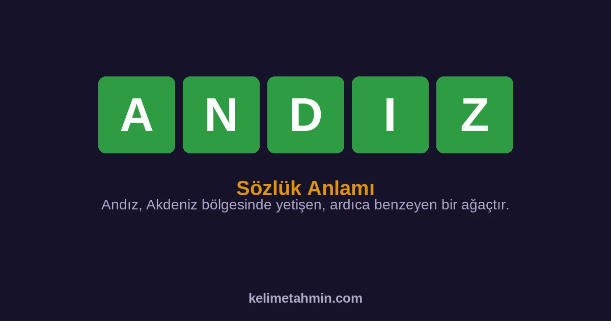 ANDIZ ANDIZ — anlamı ve örnek cümleler