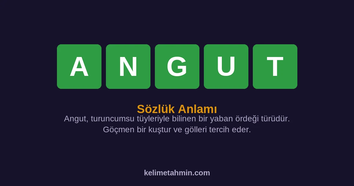 ANGUT ANGUT — anlamı ve örnek cümleler