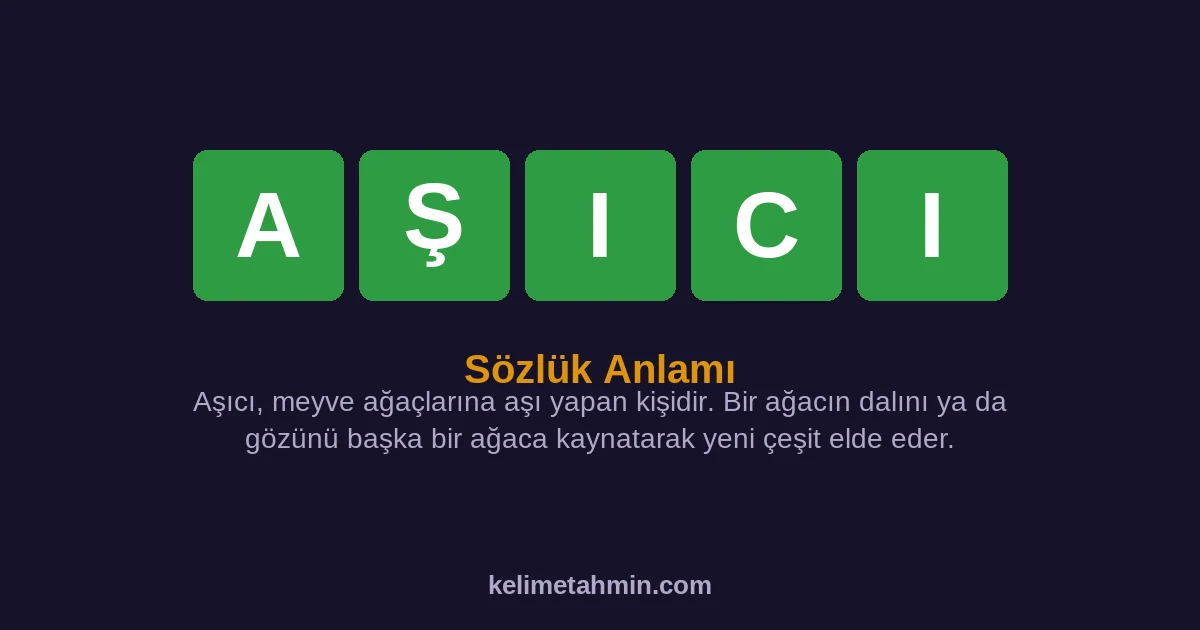 AŞICI AŞICI — anlamı ve örnek cümleler