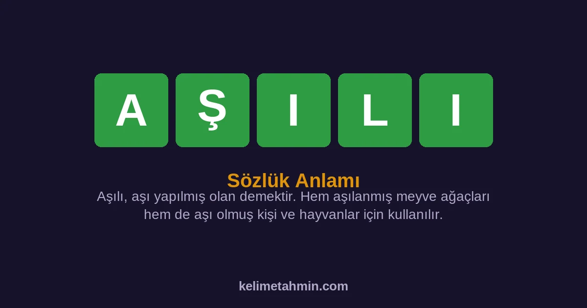 AŞILI AŞILI — anlamı ve örnek cümleler