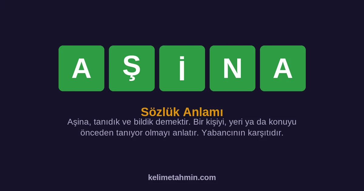 AŞİNA AŞİNA — anlamı ve örnek cümleler