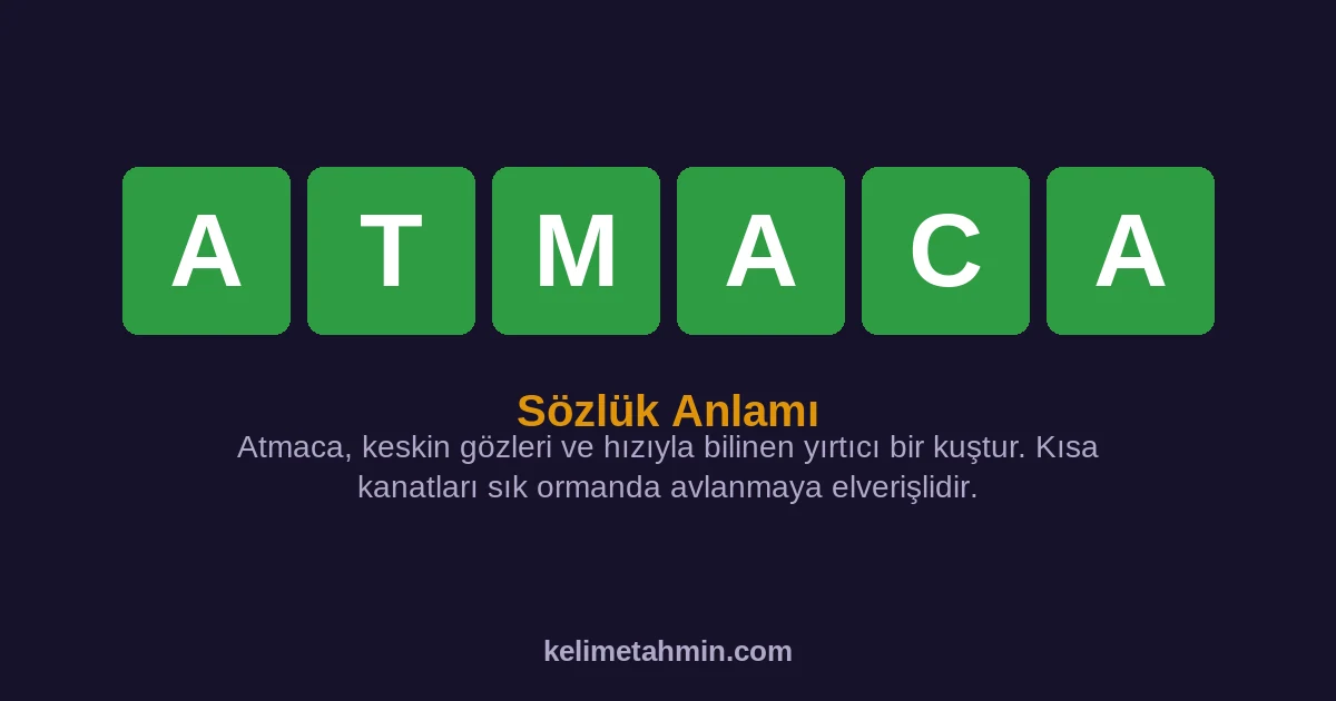 ATMACA ATMACA — anlamı ve örnek cümleler