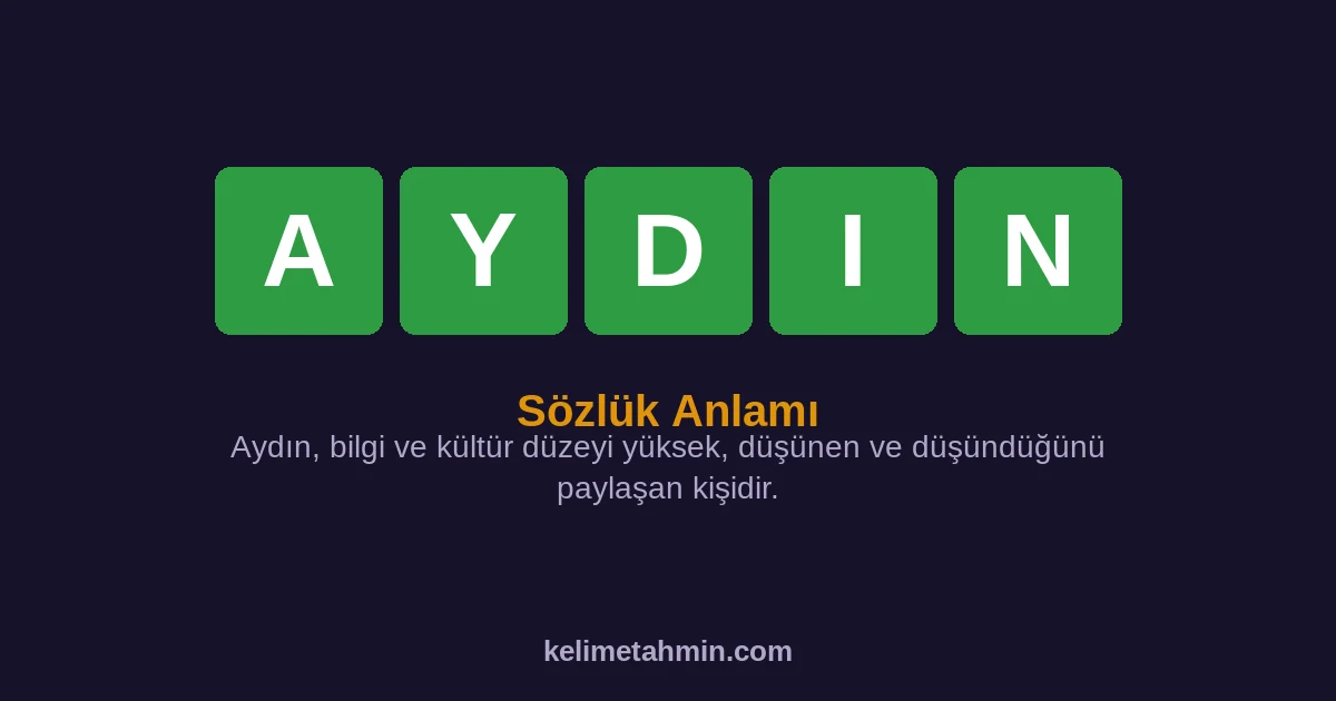 AYDIN AYDIN — anlamı ve örnek cümleler