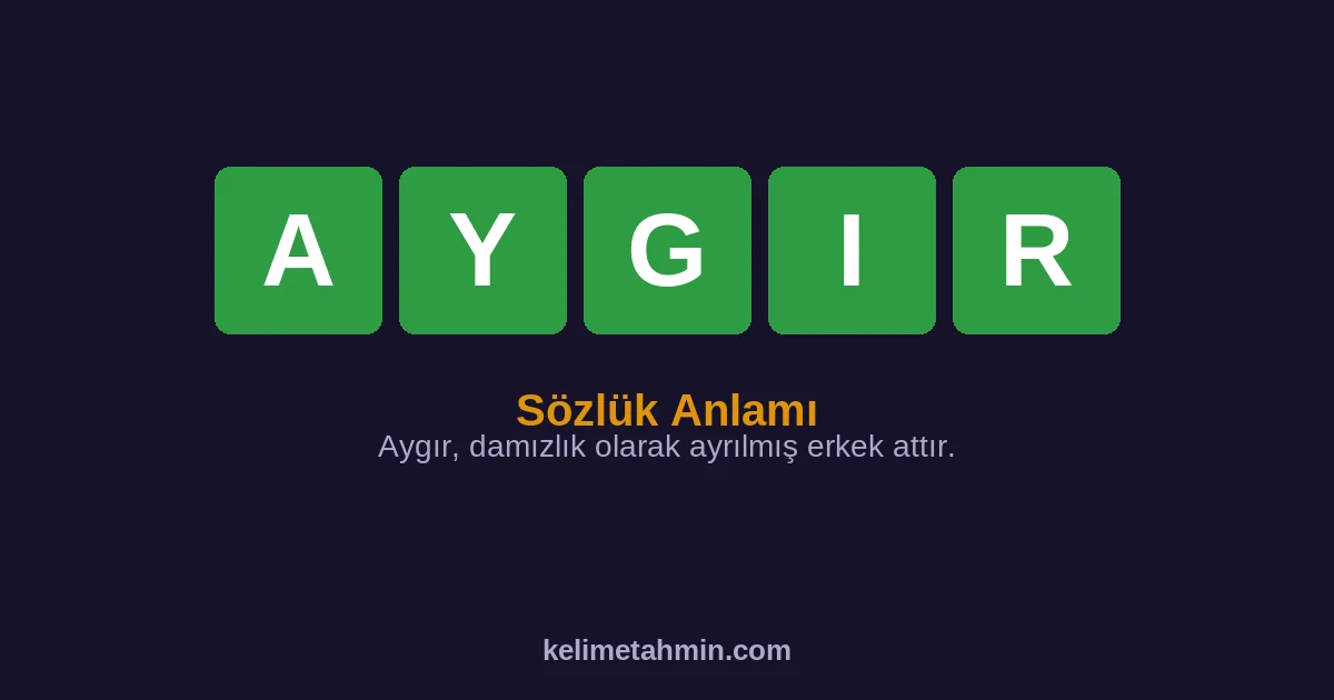 AYGIR AYGIR — anlamı ve örnek cümleler
