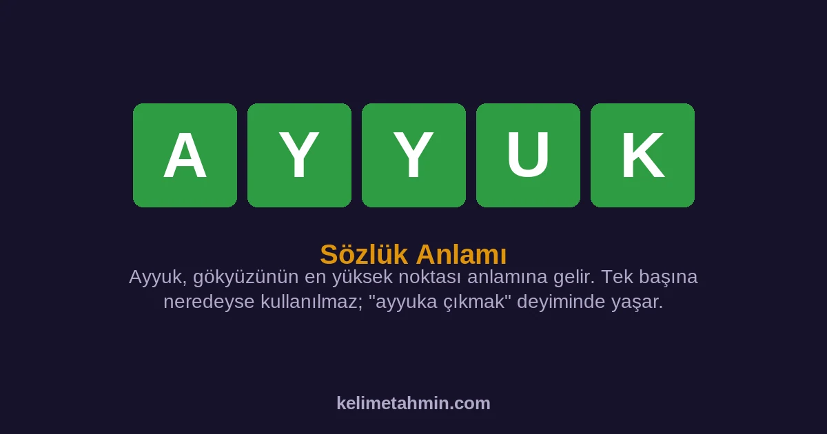 AYYUK AYYUK — anlamı ve örnek cümleler