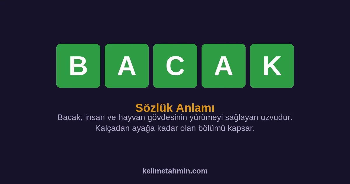 BACAK BACAK — anlamı ve örnek cümleler