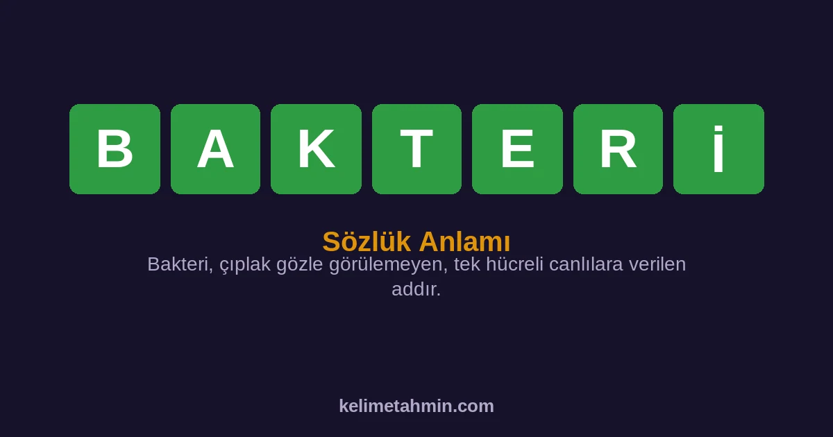 BAKTERİ BAKTERİ — anlamı ve örnek cümleler