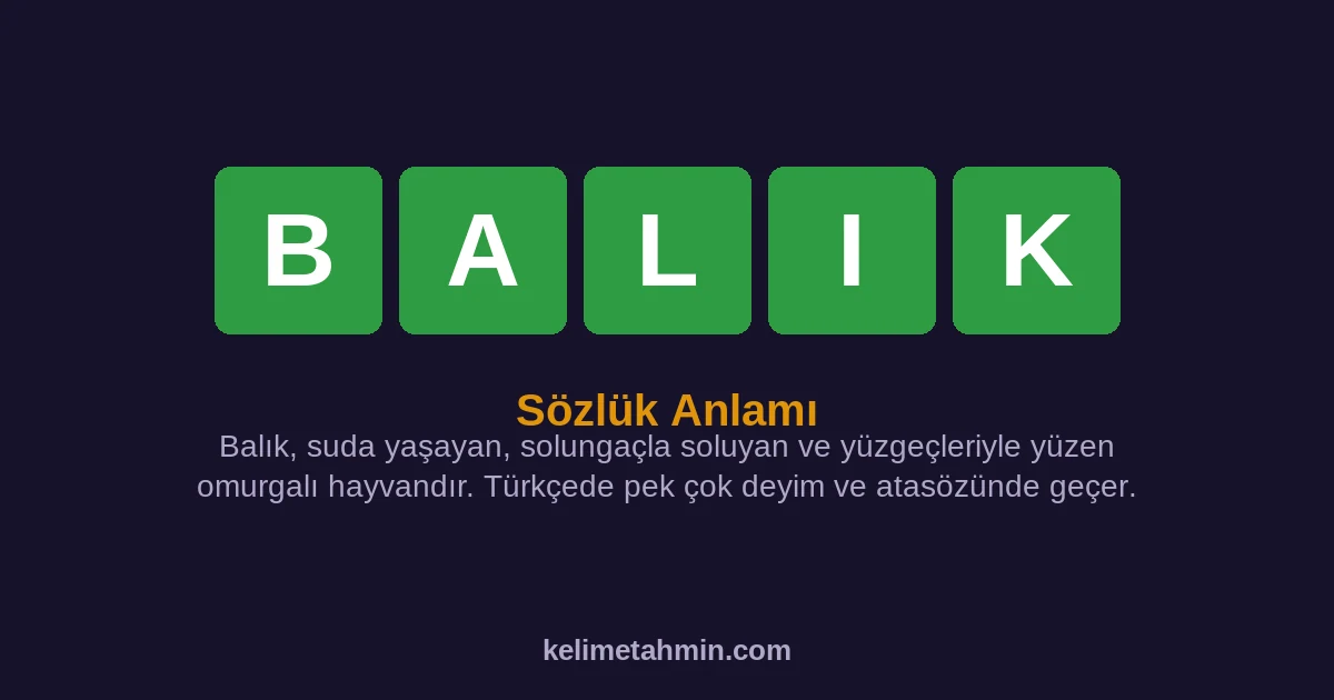 BALIK BALIK — anlamı ve örnek cümleler
