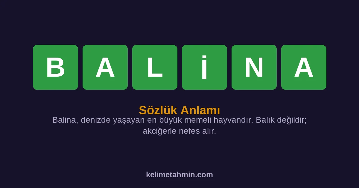 BALİNA BALİNA — anlamı ve örnek cümleler