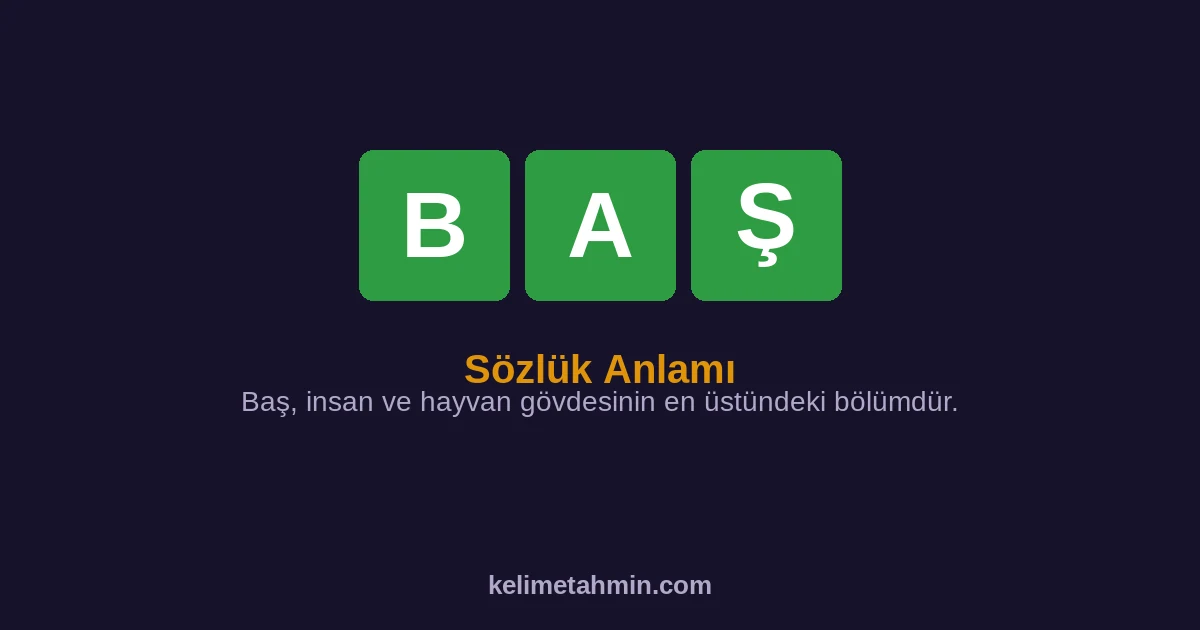 BAŞ BAŞ — anlamı ve örnek cümleler