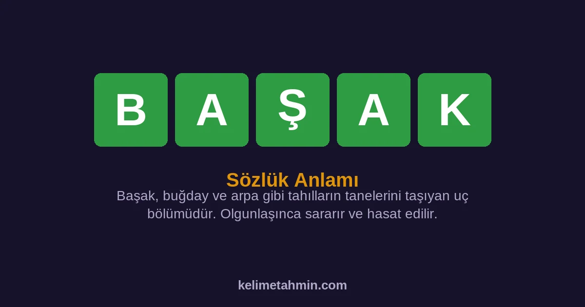 BAŞAK BAŞAK — anlamı ve örnek cümleler
