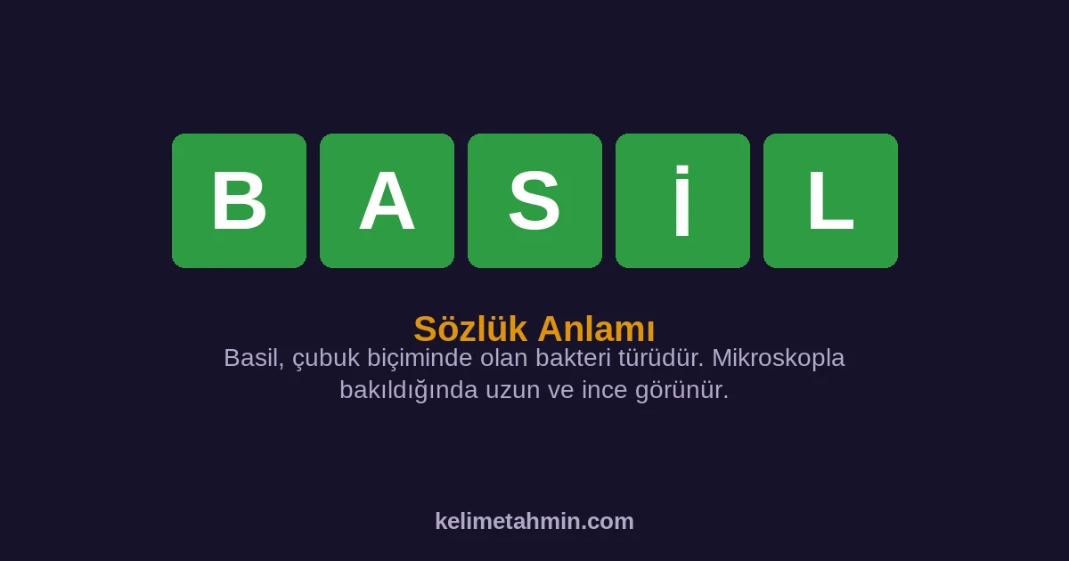 BASİL BASİL — anlamı ve örnek cümleler