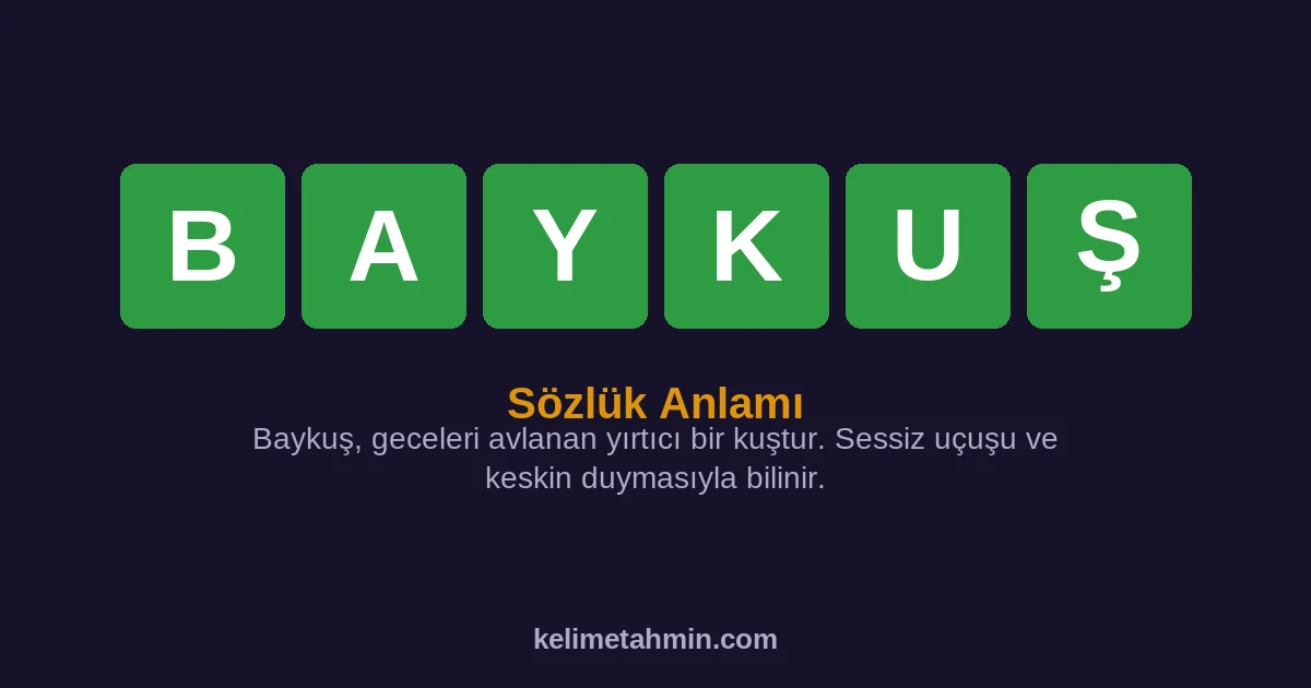 BAYKUŞ BAYKUŞ — anlamı ve örnek cümleler