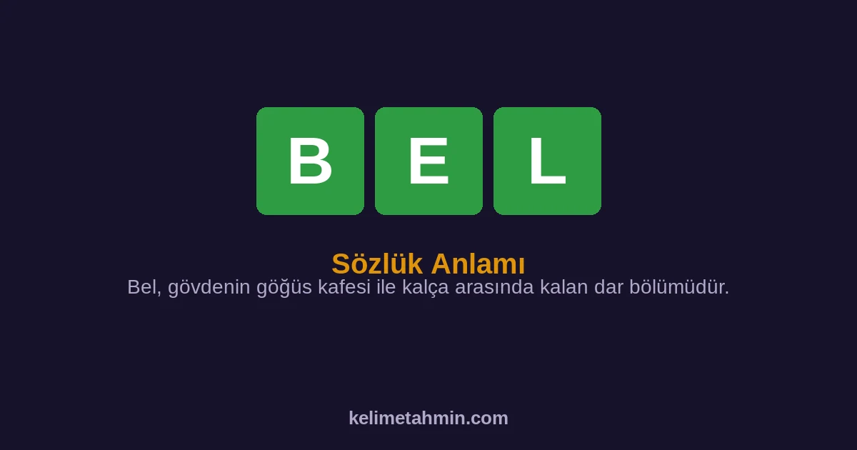 BEL BEL — anlamı ve örnek cümleler
