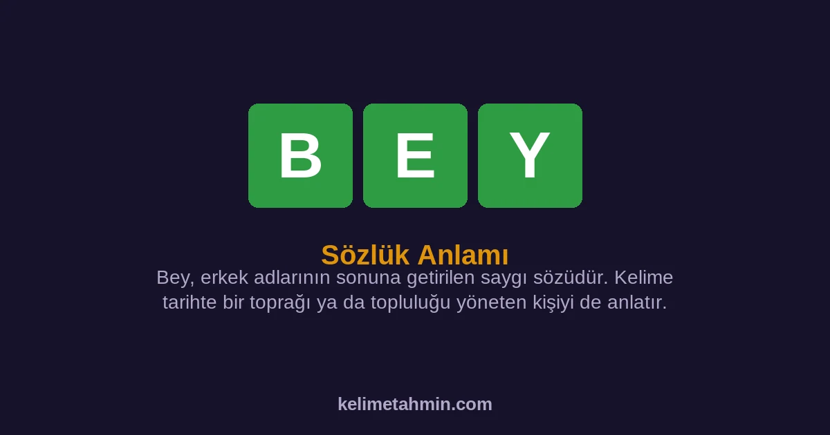 BEY BEY — anlamı ve örnek cümleler