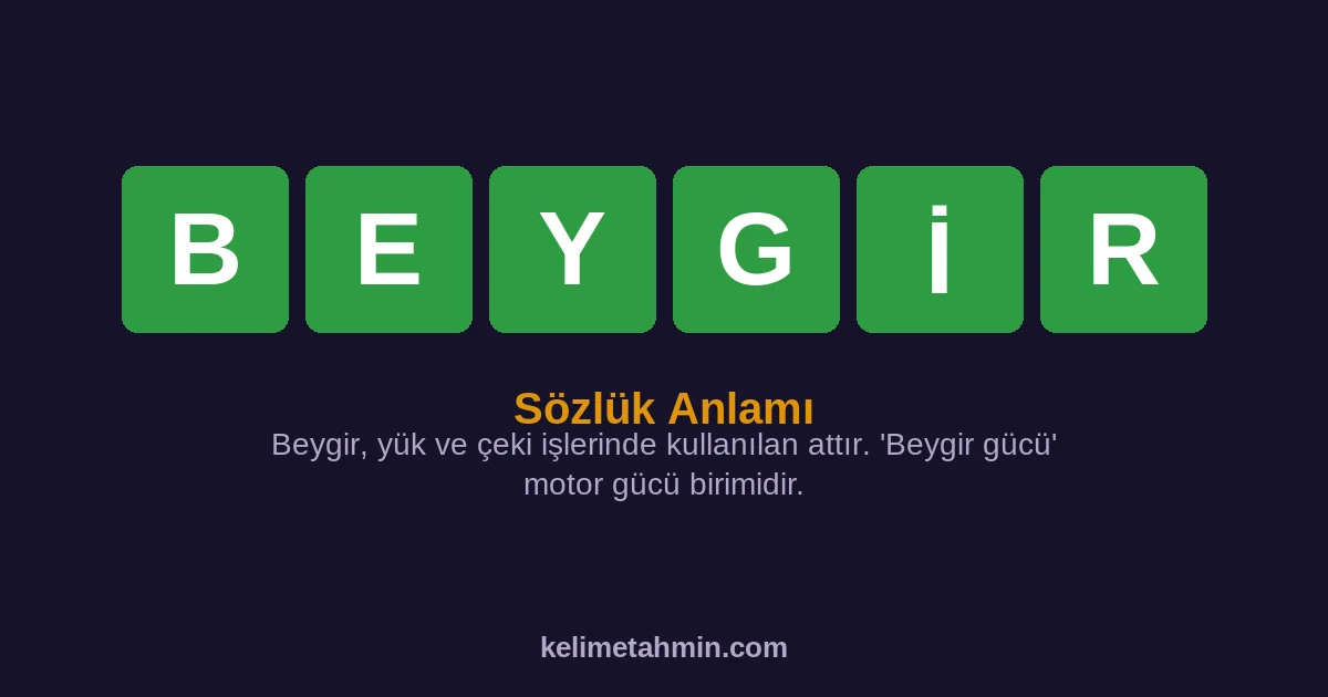 BEYGİR BEYGİR — anlamı ve örnek cümleler