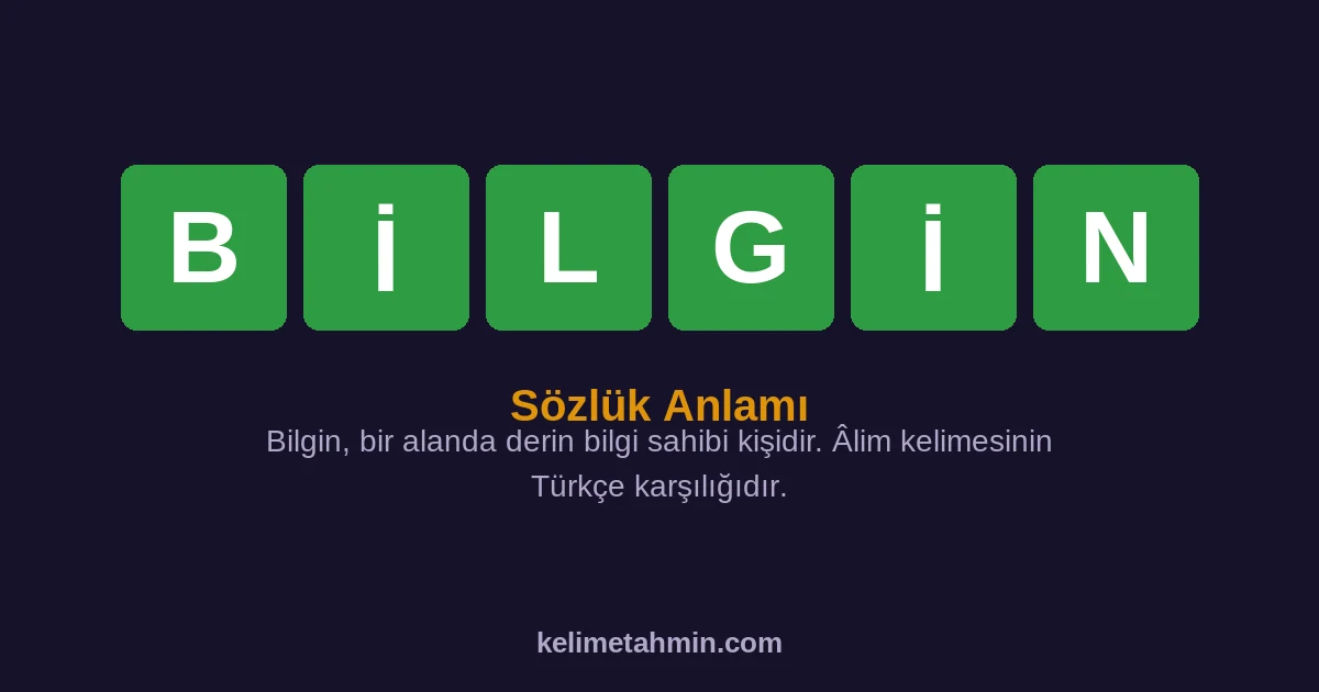 BİLGİN BİLGİN — anlamı ve örnek cümleler