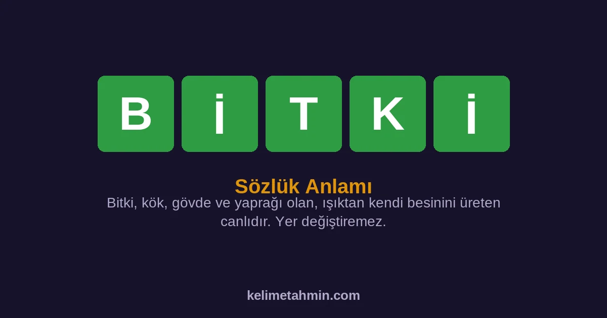 BİTKİ BİTKİ — anlamı ve örnek cümleler