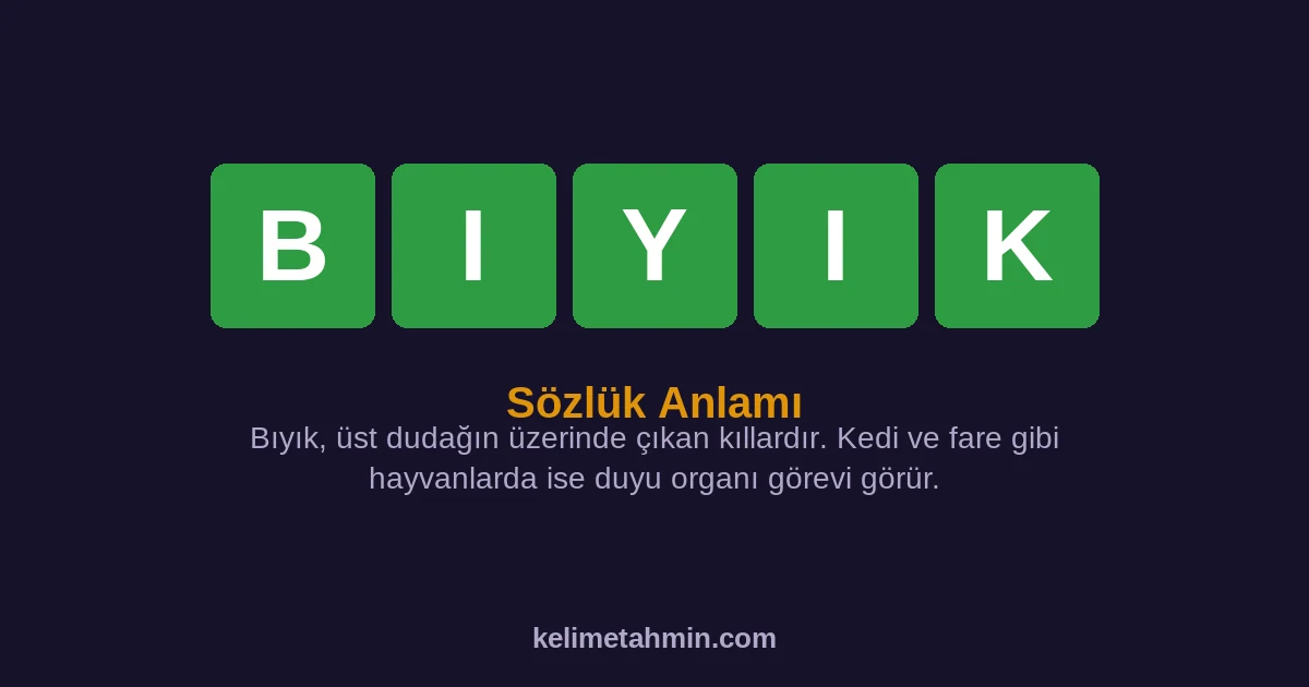 BIYIK BIYIK — anlamı ve örnek cümleler
