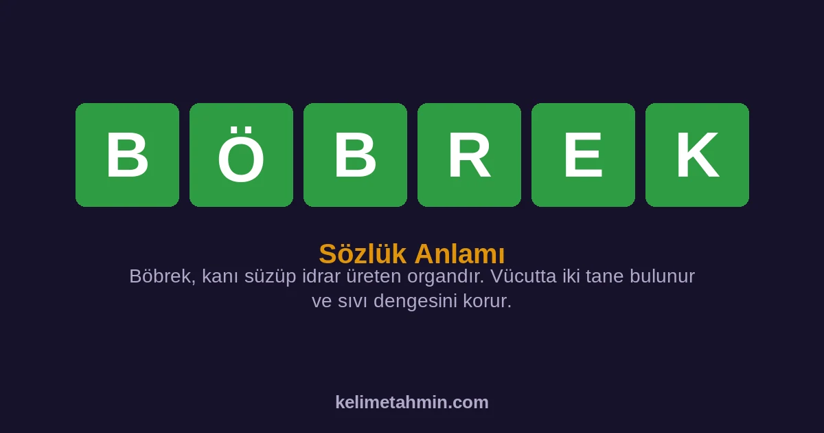 BÖBREK BÖBREK — anlamı ve örnek cümleler
