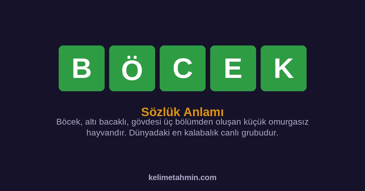 BÖCEK BÖCEK — anlamı ve örnek cümleler