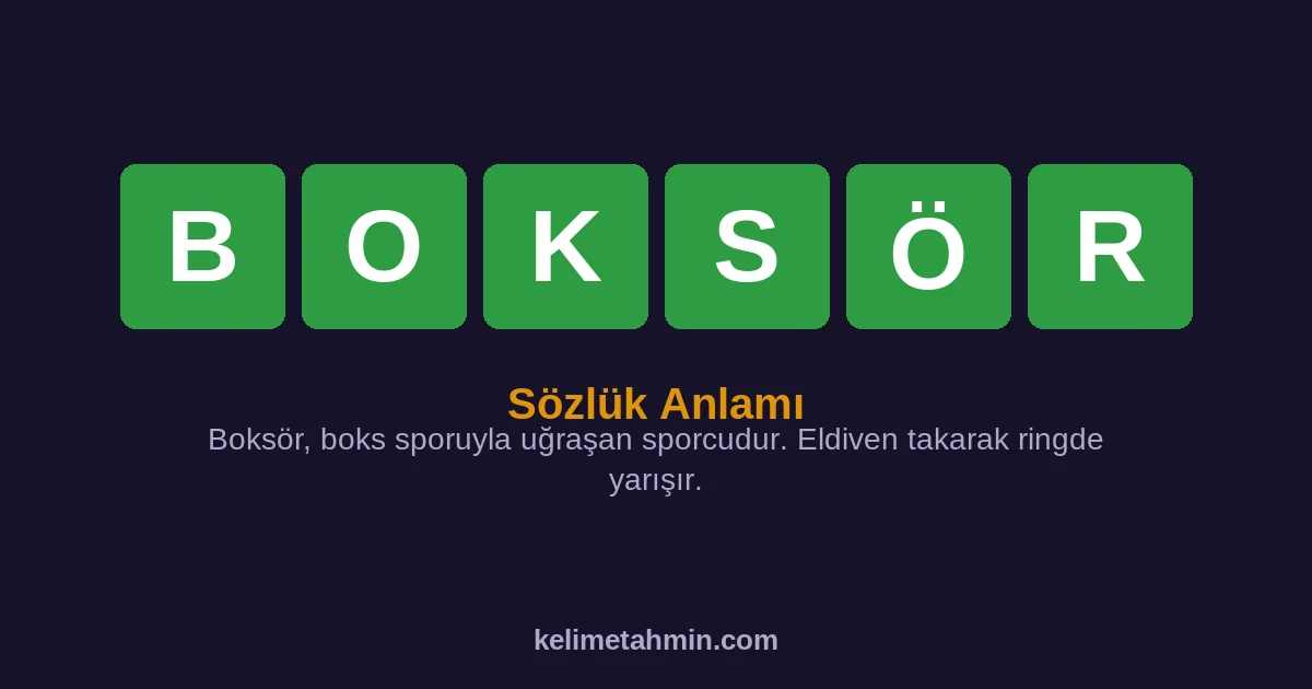 BOKSÖR BOKSÖR — anlamı ve örnek cümleler