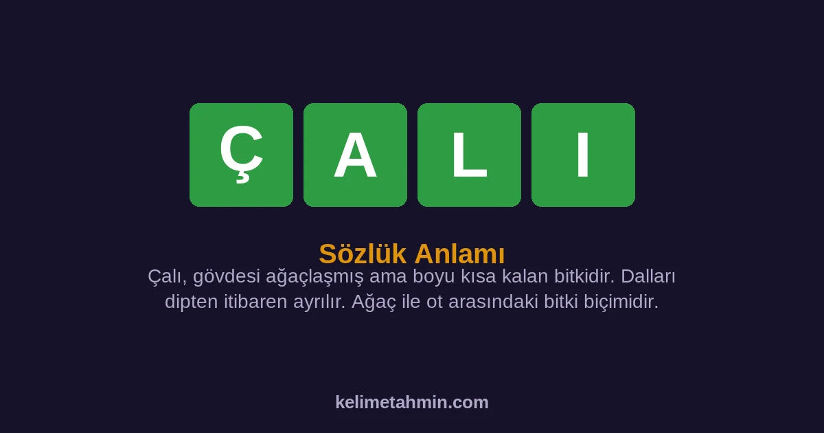 ÇALI ÇALI — anlamı ve örnek cümleler