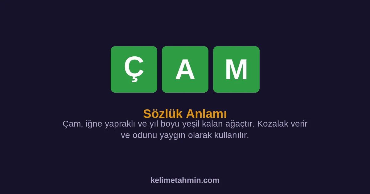 ÇAM ÇAM — anlamı ve örnek cümleler