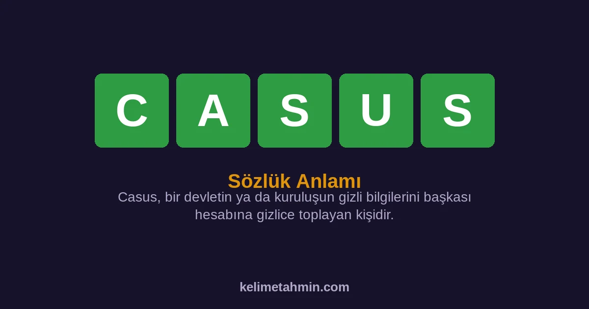 CASUS CASUS — anlamı ve örnek cümleler