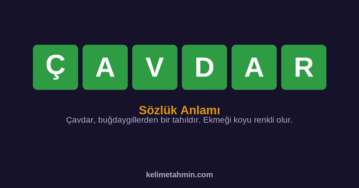 ÇAVDAR ÇAVDAR — anlamı ve örnek cümleler