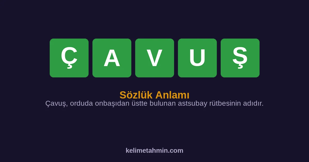 ÇAVUŞ ÇAVUŞ — anlamı ve örnek cümleler