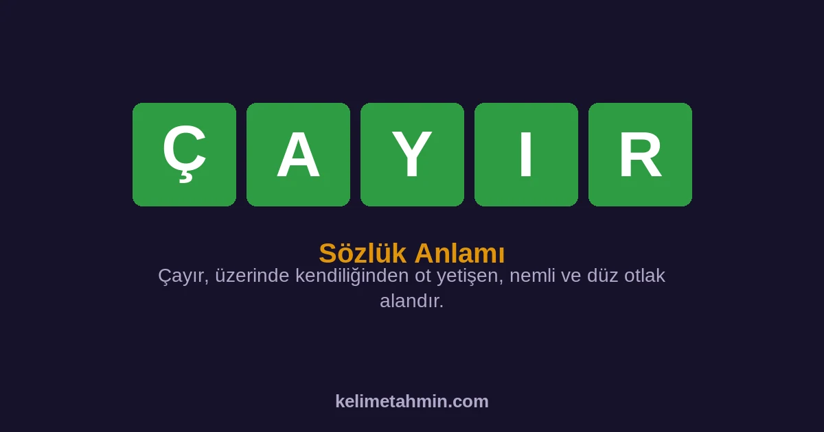 ÇAYIR ÇAYIR — anlamı ve örnek cümleler