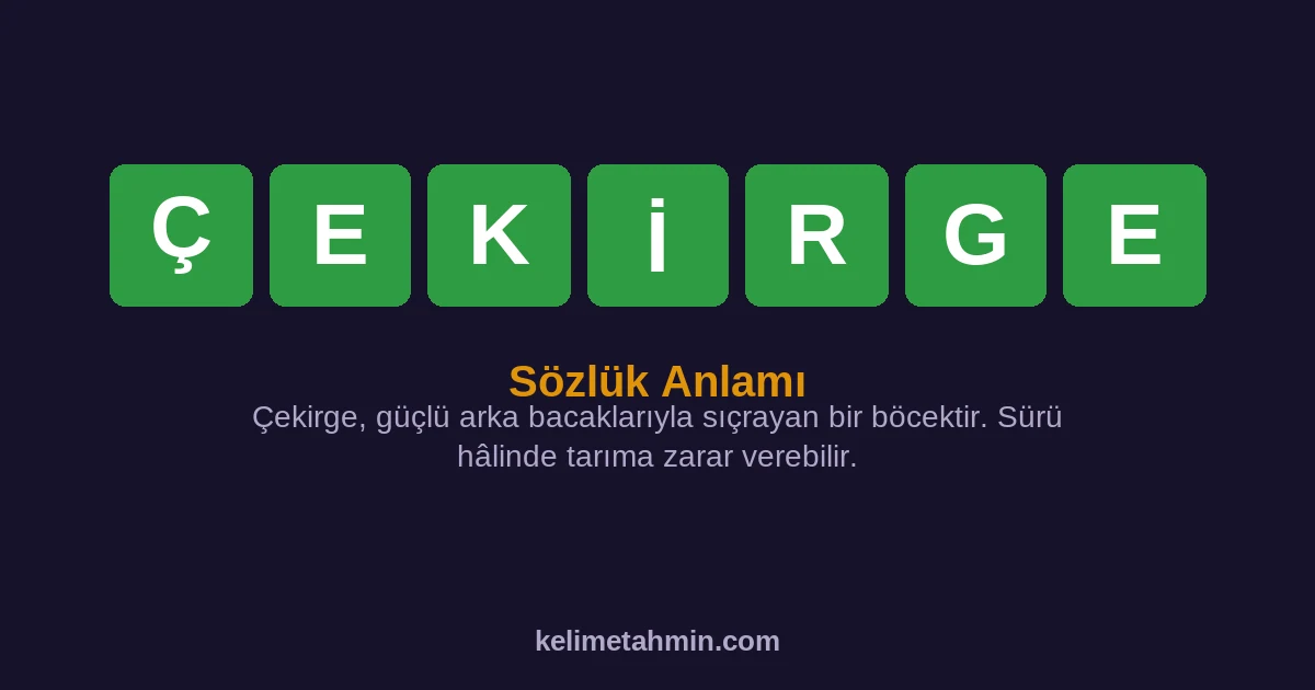 ÇEKİRGE ÇEKİRGE — anlamı ve örnek cümleler