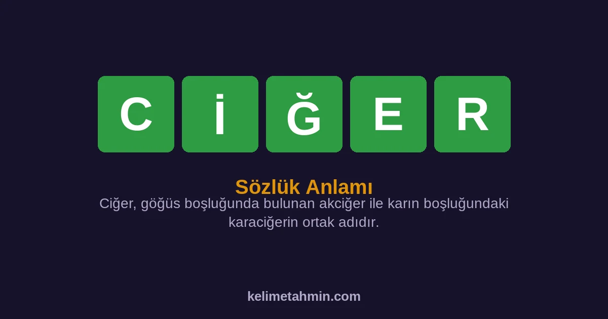 CİĞER CİĞER — anlamı ve örnek cümleler