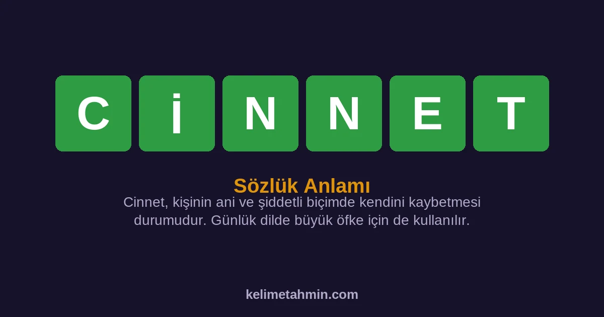 CİNNET CİNNET — anlamı ve örnek cümleler