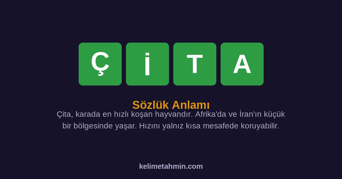 ÇİTA ÇİTA — anlamı ve örnek cümleler